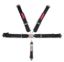 Harness 5pt L/L PD 3in L/W SFI
