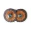 2 Disc Clutch Pack Coars