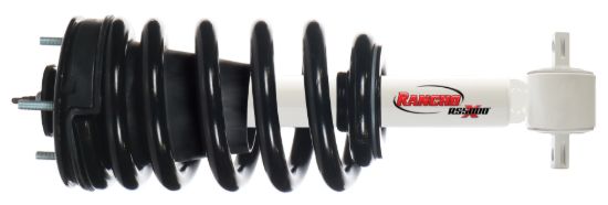 Suspension Strut and Coil Spring