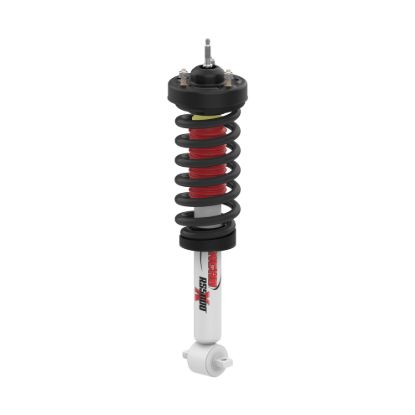 RS5000X Loaded Strut Assembly