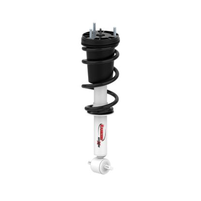RS5000X Loaded Strut Assembly