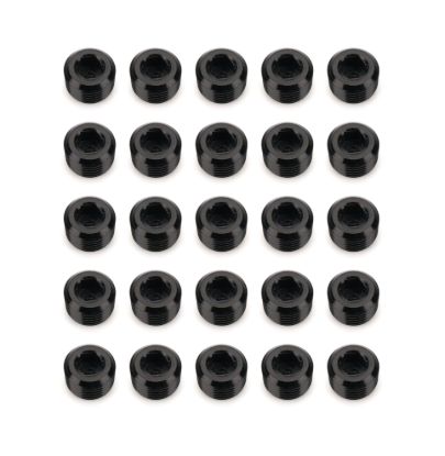 1/8in NPT Socket Head Pipe Plug 25/pkg Black