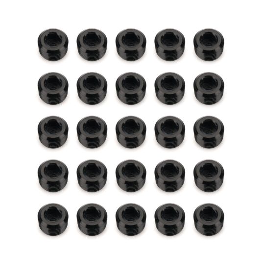 1/8in NPT Socket Head Pipe Plug 25/pkg Black