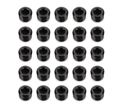 1/4in NPT Socket Head Pipe Plug 25/pkg Black