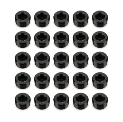 3/8in NPT Socket Head Pipe Plug 25/pkg Black