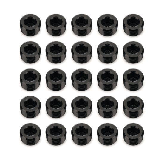 3/8in NPT Socket Head Pipe Plug 25/pkg Black