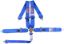SFI 16.1 CAM-LOCK HARNES S 3in PULL DOWN Lap Belt