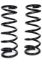 Dodge Ram 2-2.5in V10/ Cum Coils