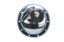 Differential Cover GM 10 Bolt Chrome