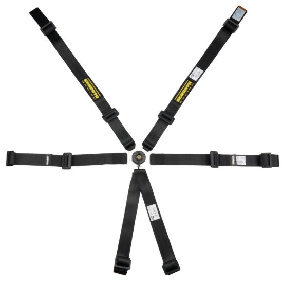 6pt Harness Profi 2x2 Pull-Up Lap