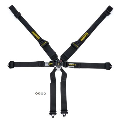 Harness 6pt Profi II SFI Hans Black