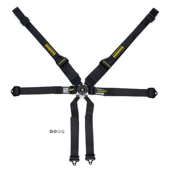 Harness 6pt Profi II SFI Hans Black