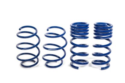 Sport Suspension Spring KIt 15-21 Mustang