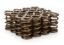 1.290 Dual Valve Springs 16pk