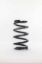 Coilover Spring 7in x 2.5in