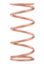 Conventional Spring 11in x 5in x 175#