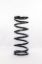 Spring Conv Rear 12in x 5in 300lb