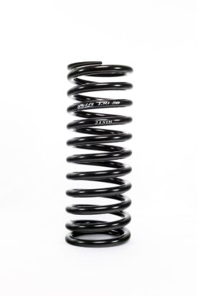 Coil Spring Conv Rear 13in x 5in x 215lb