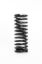 Coil Spring Conv Rear 13in x 5in 250lb