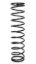 Conventional Spring 20in x 5in x 100lb