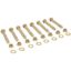 Bolt Kit 5.5in Carbon 2D 8pcs 5/16in x 2.09in OAL