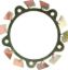 Brake Fan - RH Wide 5