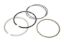 Piston Ring - 1 Cylinder 101.778mm (4.005)