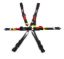 Harness 6pt Black Cam L 2in Shoulder FIA