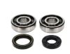 Picture of ProX Racing Parts Engine Crankshaft Main Bearing Set - 23.CBS22001