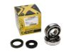 Picture of ProX Racing Parts Engine Crankshaft Main Bearing Set - 23.CBS22001