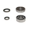 Picture of ProX Racing Parts Engine Crankshaft Main Bearing Set - 23.CBS60024