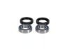 Picture of ProX Racing Parts Wheel Bearing Kit - 23.S110092