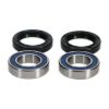 Picture of ProX Racing Parts Wheel Bearing Kit - 23.S117091