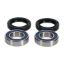 Picture of ProX Racing Parts Wheel Bearing Kit - 23.S160024