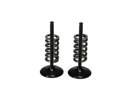 Picture of ProX Racing Parts Engine Exhaust Valve Kit - 28.SIS2440-2