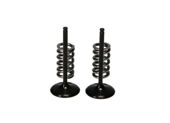 Picture of ProX Racing Parts Engine Exhaust Valve Kit - 28.SIS4409-2