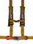 Picture of PRP Seat Belt Harness - SB4.2LL-GO