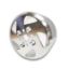 Picture of PRW Engine Water Pump Pulley - 2636403
