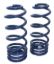 Picture of Ridetech Coil Spring Lowering Kit - 11324799