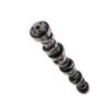 Picture of Top Street Performance Engine Camshaft - 75301