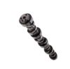 Picture of Top Street Performance Engine Camshaft - 75304