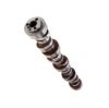 Picture of Top Street Performance Engine Camshaft - 75381