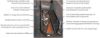 Picture of Tuffy Security Products Underseat Storage Box - 309-01