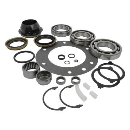 Picture of USA Standard Gear Transfer Case Bearing and Seal Overhaul Kit - ZTBK485A