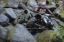 Picture of Warn Winch Bumper - 71175