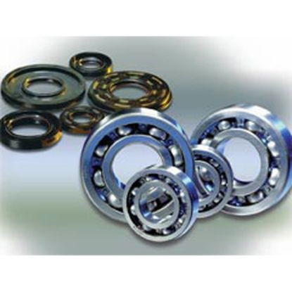 CRANKSHAFT BEARING 830046-20SI RM-Z250 '10-11 30X63X16