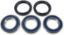 PROX REARWHEEL BEARING SET TRX420 '07-10