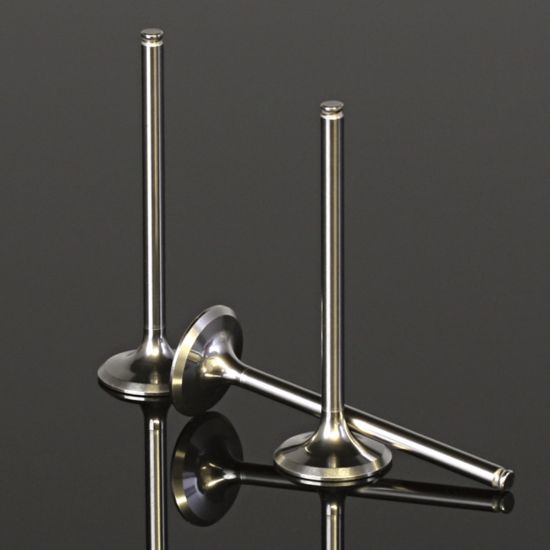 TITANIUM INTAKE VALVE