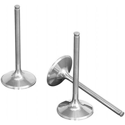 TITANIUM INTAKE VALVE