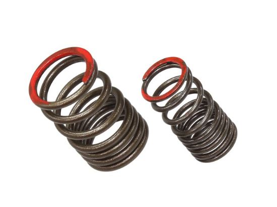 EXHAUST VALVE SPRING